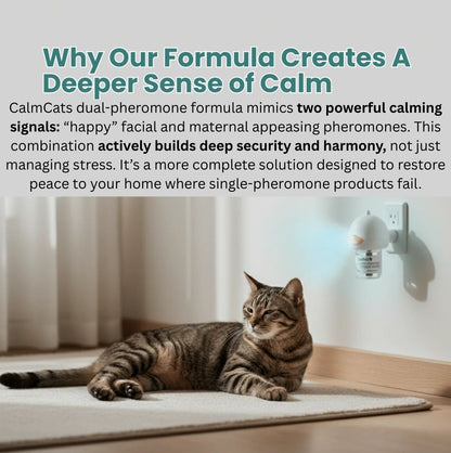 CalmCat